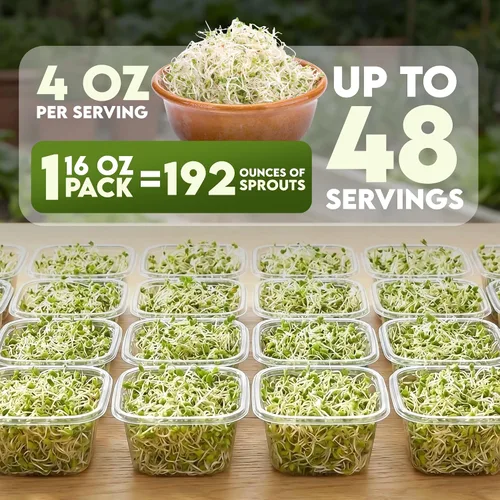 Miniatura 3 de Nature Jims Sprouts Semillas de alfalfa – Kit de cultivo de brotes orgánicos sin OMG para plantar – Bolsa resellable premium para semillas frescas