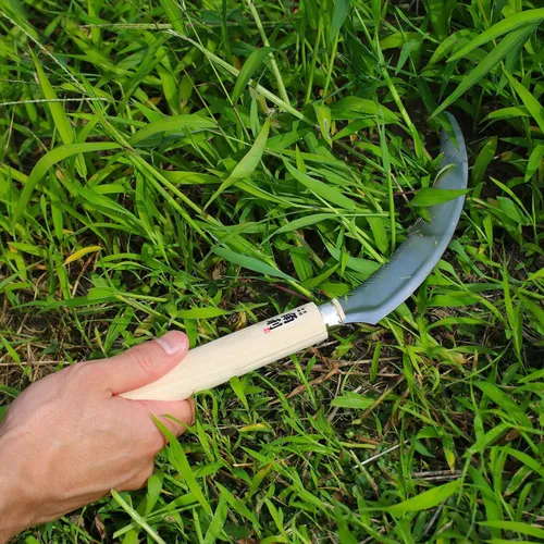 Miniatura 4 de KAKURI Herramienta de jardín de hoz japonesa de 6.7 pulgadas [hoja dentada] fabricada en Japón, hoz de jardín para cosecha y deshierbe, hoja