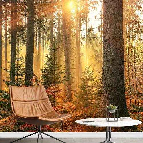 Miniatura 12 de SIGNWIN Adhesivo mural removible para pared, luz solar mística, niebla, bosque de árboles verdes, naturaleza, desierto, fotografía, realismo