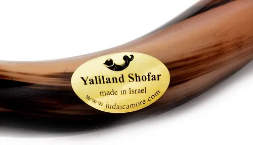 Miniatura 4 de Auténtico shofar de cuerno kudu yemenita – Instrumento bíblico espiritual para adoración judía y cristiana, oración y festivales – Incluye spray