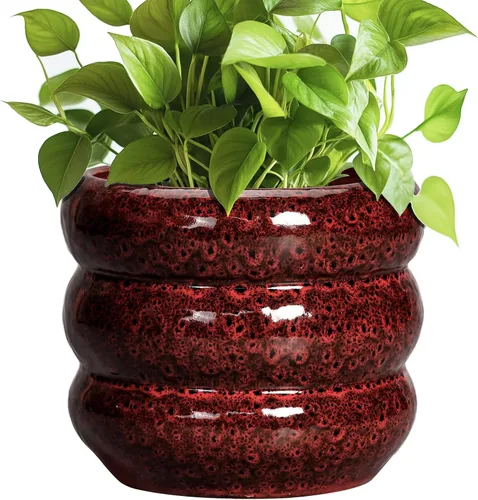 Miniatura 19 de Maceta de cerámica SQOWL para plantas de 8 pulgadas - Maceta de interior con orificio de drenaje para plantas de exterior, maceta floral moderna