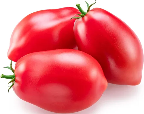Más de 300 semillas de tomate Roma, semillas de primera calidad cultivadas en Estados Unidos sin OMG para plantar por RDR Seeds