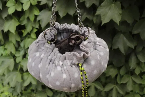 Miniatura 7 de Oncpcare Hamaca de jaula de animales pequeños, hamaca de flor, jaula de conejillo de indias, cama cálida para loro planeador de azúcar, hurón
