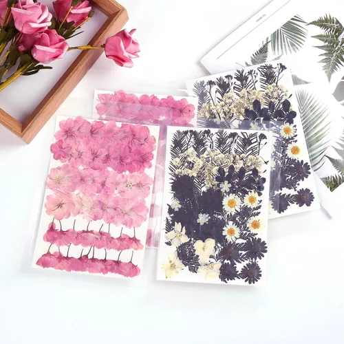 Miniatura 7 de 12 tipos 48 piezas flores secas prensadas reales para resina, herbario de plantas de hojas para fabricación de joyas artesanales (negro y blanco)