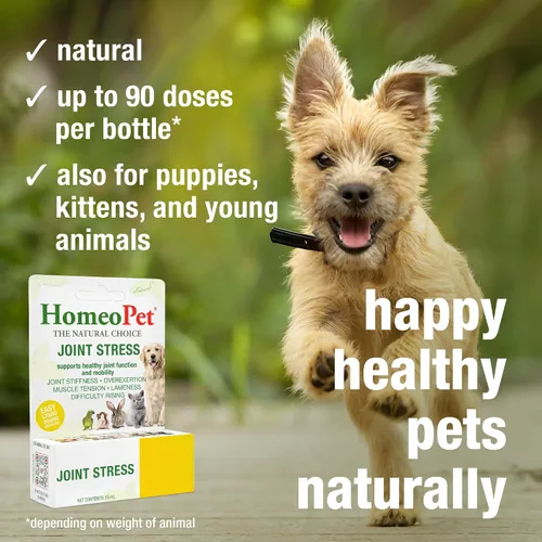 Miniatura 4 de HomeoPet Estrés articular, apoyo articular para perros y gatos, medicamentos líquidos para mascotas para apoyar el movimiento saludable