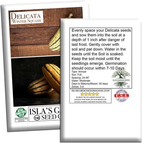 Miniatura 6 de Semillas de calabaza de invierno "Delicata" para plantar, más de 25 semillas tradicionales por paquete, semillas de jardín de Isla
