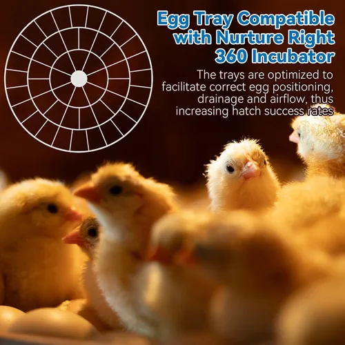 Miniatura 7 de Enhon Bandeja de 48 huevos compatible con la incubadora Nurture Right 360, bandeja giratoria de huevos de plástico de repuesto para incubar
