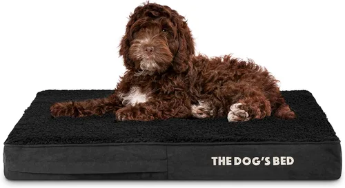 The Dog's Bed - Cama ortopédica de espuma viscoelástica para perros, mediana, felpa negra, alivio del dolor para artritis, displasia de cadera y