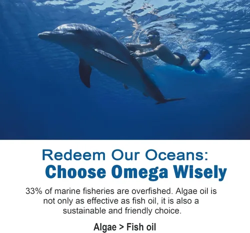 Miniatura 4 de Gomitas veganas Omega 3 de 1280 mg + vitamina D3 K2 (MK7), alternativa al aceite de pescado Omega 3 para adultos, con algas EPA 600 mg y DHA 400 mg