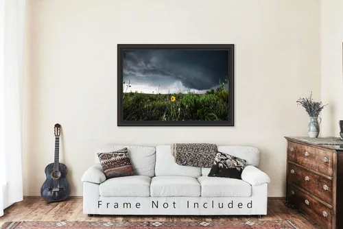 Miniatura 5 de Storm Photography Print (Not Framed) Picture of Thunderstorm Passing Behind Wild Sunflower on Spring Day in Texas Flower Wall Art Nature Decor