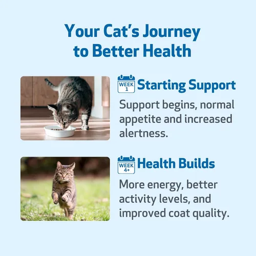 Miniatura 5 de Pet Wellbeing Cardo mariano para gatos, hierba orgánica, apoyo para la desintoxicación del hígado de cardo mariano, antioxidantes, certificado por