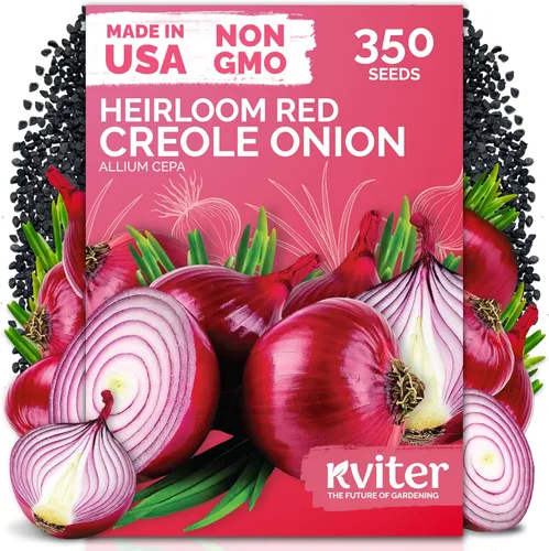 Miniatura 28 de KVITER 325 semillas de tomates gigantes (Solanum lycopersicum) – Filete de ternera paquetes de semillas de tomate – Tomates tradicionales – Semillas