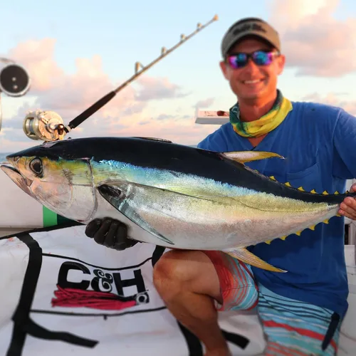 Miniatura 6 de C&H Lures Señuelos de Pesca Sea Witch - Originales Desde 1959, Faldas de Nylon Revelan Cabeza con Peso, 15 Colores, 8 Pesos de Cabeza, Señuelo