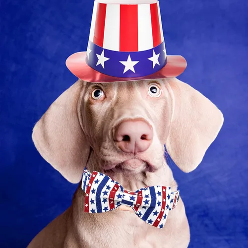 Miniatura 6 de Elegant little tail Independence - Collar patriótico para mascotas con pajarita para mascotas del 4 de julio de algodón suave para mascotas