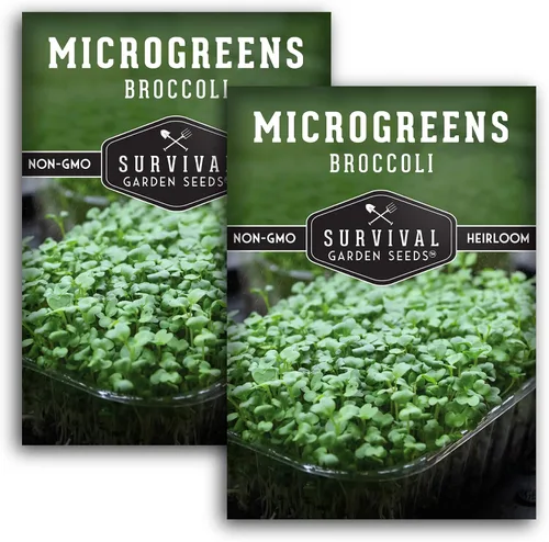 Broccoli Microgreen Seeds for Broting - Semillas tradicionales sin OMG para cultivo en interiores o hidropónicos, cosecha rápida, densas en