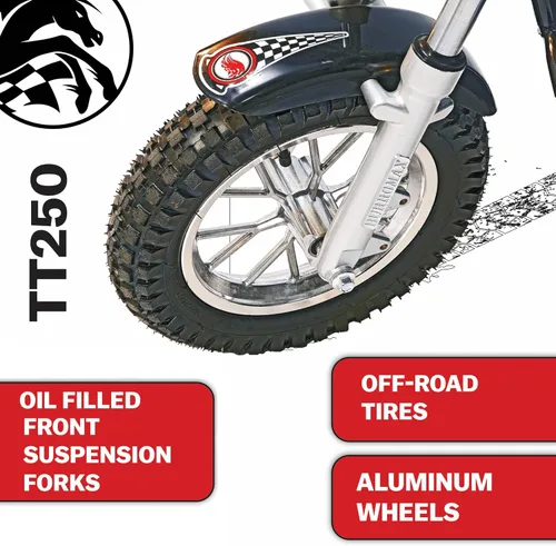 Miniatura 2 de Burromax TT250 Motocicleta de tierra eléctrica para niños, 250w 24v 7ah, 2 velocidades, hasta 14 mph, para ciclistas de hasta 150 lb, mini bicicleta