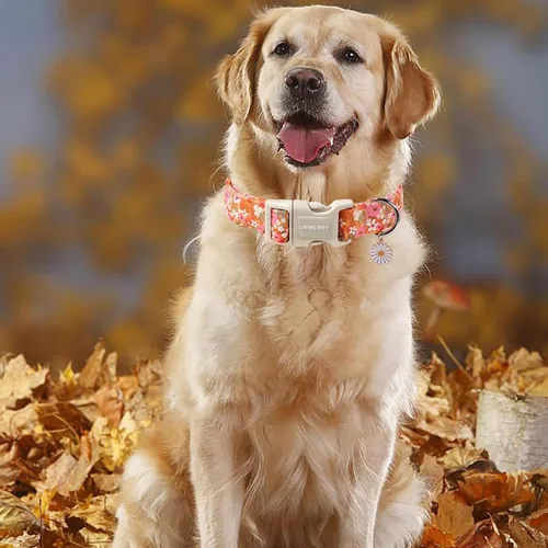 Miniatura 127 de Aring Pet Collar de algodón, lindo, con hebilla de liberación rápida, para bodas, para perros pequeños, medianos y grandes, rosa Terciopelo rosa