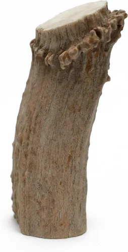 Miniatura 4 de QT Dog Medium Antlers - Masticable para perros 100% natural de larga duración, lleno de proteínas de origen ético y masticadores dentales bajos
