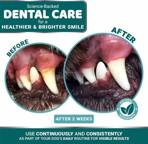 Miniatura 3 de Polvo Dental Avanzado para Perros, Refrescador de Aliento con Multivitaminas, Limpieza de Dientes de Perros, Eliminador de Mal Aliento y Sarro