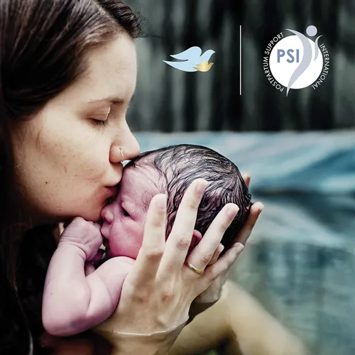 Miniatura 13 de Baby Dove Jabón Corporal para Cuidado de la Piel Sensible del Bebé para el Baño del Bebé Riqueza en Humedad Sin Lágrimas e Hipoalergénico, 20 onzas