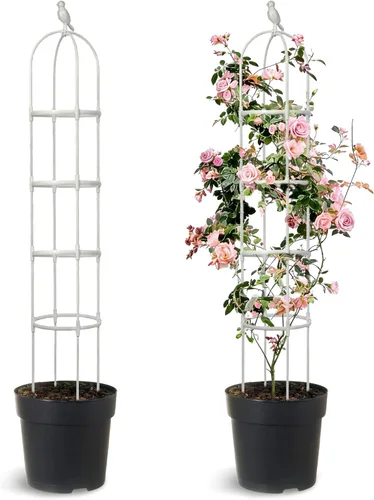 Miniatura 11 de Enrejado de jardín de 65 pulgadas para plantas trepadoras al aire libre, enrejado superior de hongo para plantas en maceta, vides, rosas, clemátides