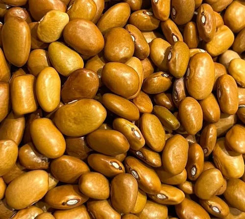 Ayocote Amarillo Frijoles Frijoles Semillas de reliquia para plantar paquete