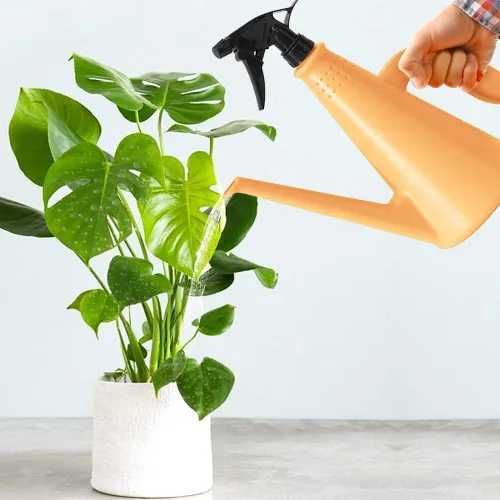Miniatura 5 de Regadera para plantas con pulverizador, regadera 2 en 1 para interiores y exteriores con botella Mister para plantas, regaderas