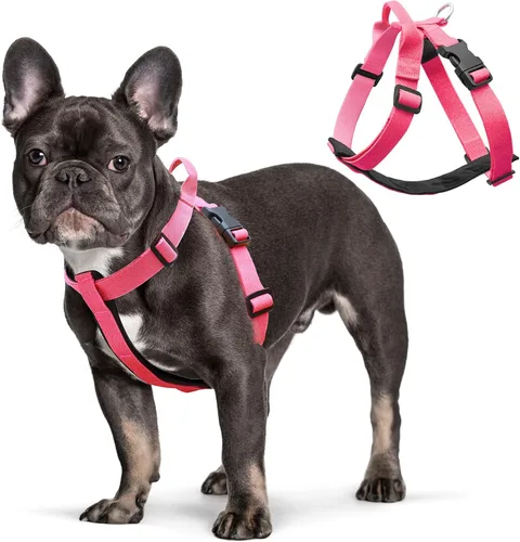 Miniatura 9 de Galaxy - Arnés reflectante para perro, ajuste ajustable de 4 puntos, hebillas antipellizcos, control de clip trasero y asa de emergencia, forro