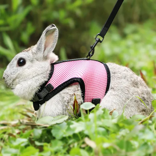 Miniatura 6 de PETTOM Arnés para conejos con correa elástica, lindo arnés ajustable con hebilla, de malla transpirable para gatitos y mascotas pequeñas, para Rosa