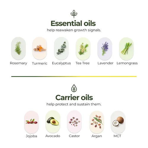 Miniatura 8 de regener8 Aceite para el cabello y el cuero cabelludo para mujeres, mezcla de aceites esenciales y portadores para adelgazamiento y pérdida
