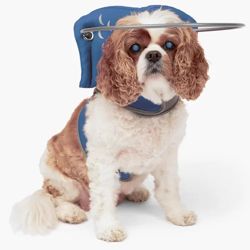 Miniatura 10 de Muffin's Halo® - El halo original para perro ciego Arnés y collar de parachoques accesorio para una navegación segura y confianza - Negro, talla 1