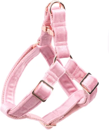 Miniatura 8 de ARING PET Arnés halter para perro, arnés de terciopelo para perro, arnés halter para perro sin tirones, arnés ajustable resistente para perros Verde