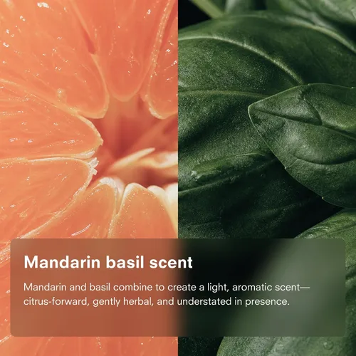 Miniatura 5 de Public Goods Jabón natural para platos Jabón de cocina A base de plantas y vegano Líquido detergente transparente para platos Fórmula