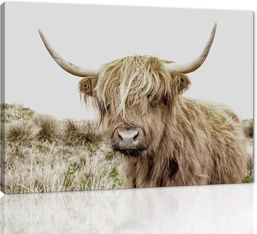 Póster moderno de pared de vaca de las tierras altas, póster impreso en lienzo alpino desierto, decoración de pared de animales para sala de estar,