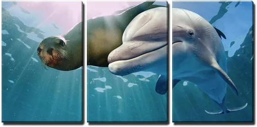 wall26 - Arte de pared en lienzo de 3 piezas, delfín y león marino bajo el agua sobre fondo del océano mirándote - Arte moderno para el hogar