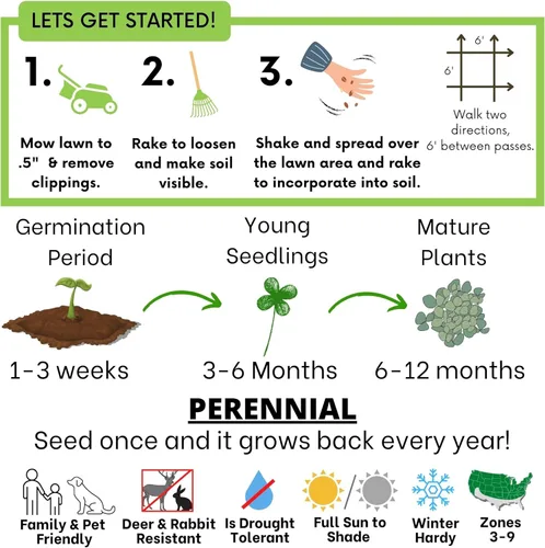Miniatura 4 de Flawn Seed Kits Semilla de micro trébol, 4.4 onzas, revestimiento orgánico, ecológico, bajo mantenimiento, alternativa al césped, bolsa compostable