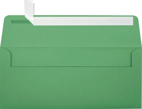 Miniatura 23 de LUXPaper Sobres comerciales #10 4 1/8 pulgadas x 9 1/2 pulgadas Verde pastel Texto de 60 libras 250