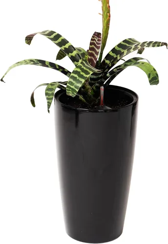 XBrand Maceta alta con autorriego para interiores y exteriores, acento decorativo para jardinería y decoración del hogar, redonda, acabado Negro