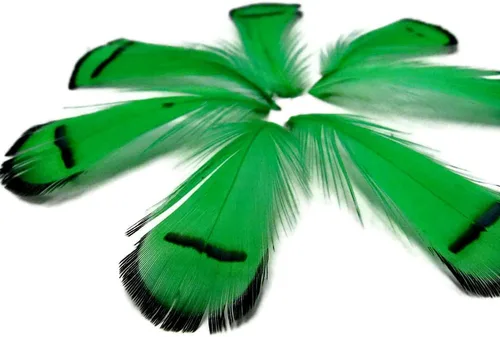 Miniatura 2 de Green Lady Amherst - Plumas artesanales de faisán, 1 docena