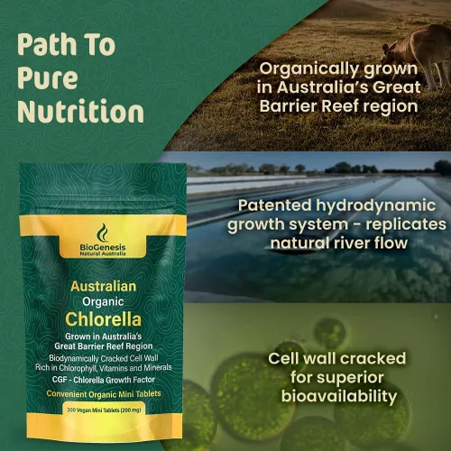 Miniatura 4 de Biogenesis Mini tabletas orgánicas de Chlorella – 300 unidades (200 mg) Cultivadas en Australia Ricas en clorofila, vitaminas y minerales