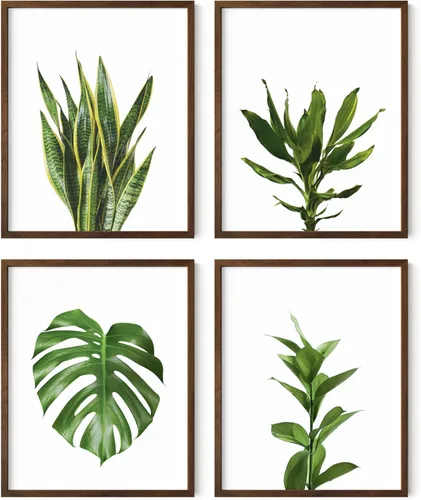 Miniatura 42 de HAUS AND HUES Arte de pared floral gris, juego de 4 pósteres de plantas para pared vintage, impresiones botánicas, cuadros de flores en blanco