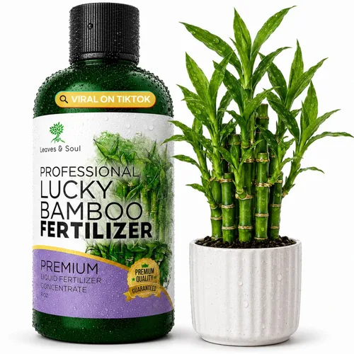 Fertilizante líquido profesional para bambú de la suerte | Concentrado 3-1-2 para plantas con flores | Mezcla multiusos y suministros de jardinería