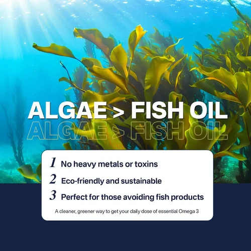 Miniatura 9 de Suplemento vegano Omega 3, Omega 3 DHA EPA a base de plantas con B12, B6, B9, vitamina E, Bacopa Monnieri, Ginkgo Biloba, 120 unidades de aceite