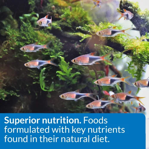 Miniatura 6 de API TROPICAL FLAKES - Contenedor de comida para pescado, 1.1 onzas