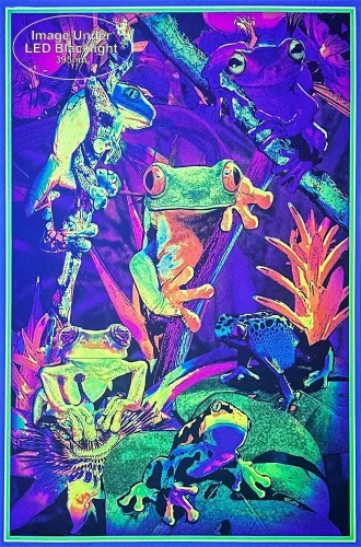 Miniatura 2 de Studio B Tree Frogs - Póster de luz negra no flocada, 24 x 36, 24 x 36