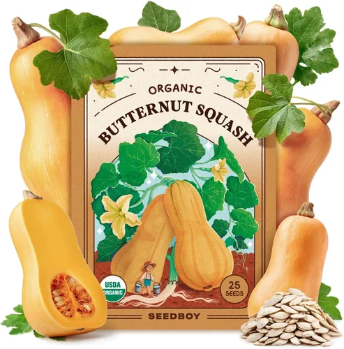 Miniatura 10 de Seedboy Semillas orgánicas de tomate Beefsteak arcoíris para plantar en interiores y exteriores, paquete de semillas de vegetales sin OMG