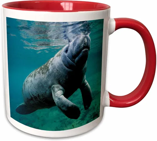 Miniatura 11 de 3dRose, Taza negra bicolor de 11 oz, negro/blanco