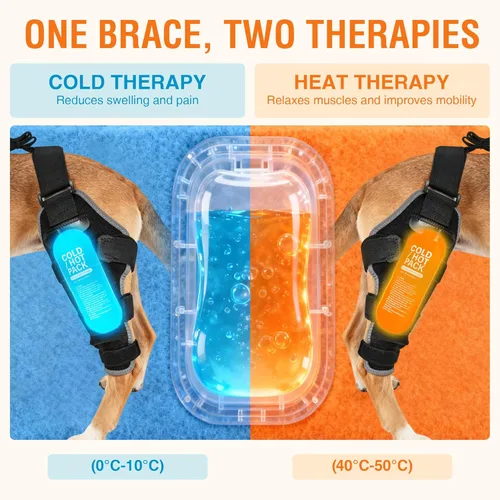 Miniatura 3 de Perro ACL Brace pata trasera – Soporte de pierna trasera ajustable transpirable con gel de compresión caliente/frío para artritis, hinchazón