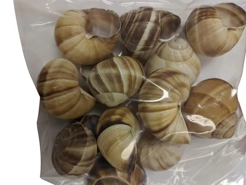 Miniatura 11 de Caracoles Premium de Borgoña – Clasificados como los número uno, los mejores para recetas de Escargot, varios tamaños