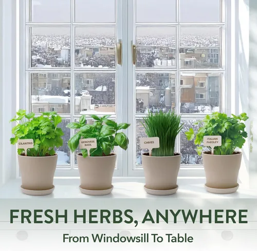 Miniatura 7 de Kit de plantador de jardín de hierbas HOME GROWN para interior – Regalo navideño único para adultos, hombres y mujeres - Cultiva 4 semillas